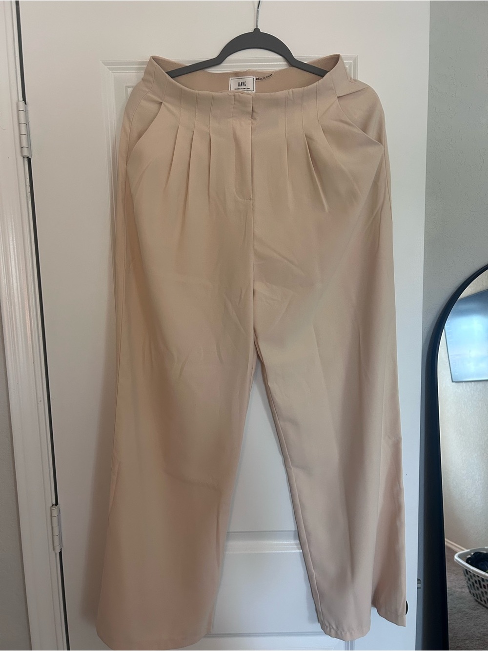 Have Pleated Wide-Leg Pants in Light Beige